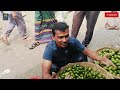 সাদেক খান কৃষি মার্কেট পাইকারি সবজির দাম মোহাম্মদপুর রায়েরবাজার ঢাকা। Rayer Bazar Dhaka 