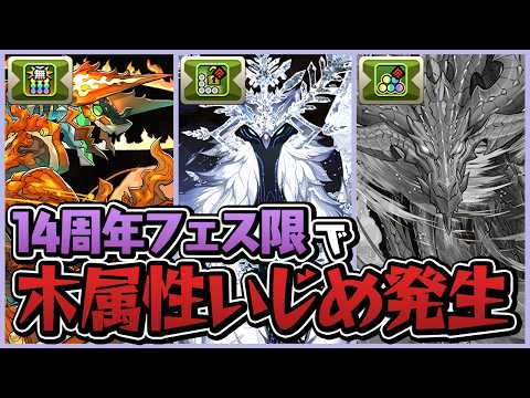 祝パズドラ14周年!新フェス限、木属性だけ多色ってマジ…?【パズドラ】