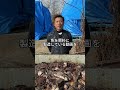 未利用魚が年間約100万トン#魚粉肥料 #農業 #熊本 #肥料 #未利用魚