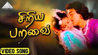 சிறிய பறவை HD Video Song | அந்த ஒரு நிமிடம் | கமல்ஹாசன் | ஊர்வசி | இளையராஜா