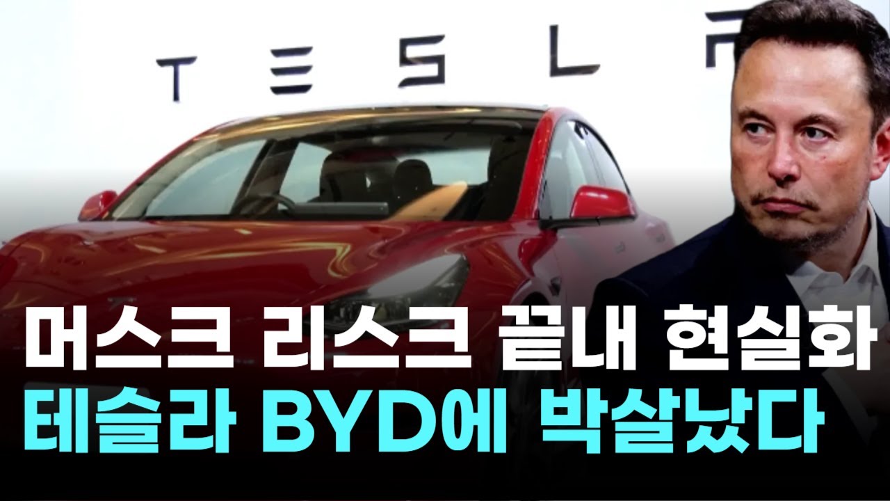 테슬라, 머스크 리스크 현실화…BYD에 제대로 박살났다