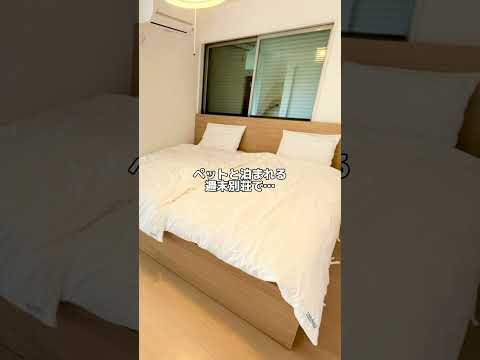 【ペットOK】リビングから絶景オーシャンビュー!7名まで宿泊OKでコスパ最強貸別荘!【千葉県富津市】