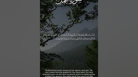 سورة النمل - الاية 17 - 19