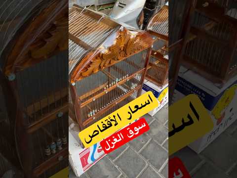 اسعار اقفاص الطيور في سوق الغزل