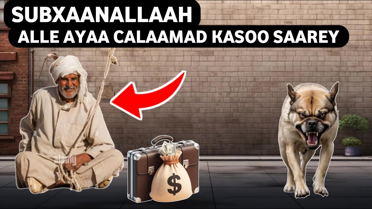 SUBXAANALLAAH !! ALLE AYAA CALAAMAD KASOO SAAREY || QISO XANUUN BADAN