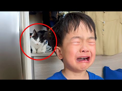 4-year-old boy hid