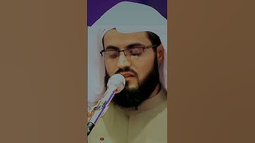 Raad Al kurdi Whatsapp status/ رعد الكردي حالات واتس اب/ سورة النمل رعد الكردي