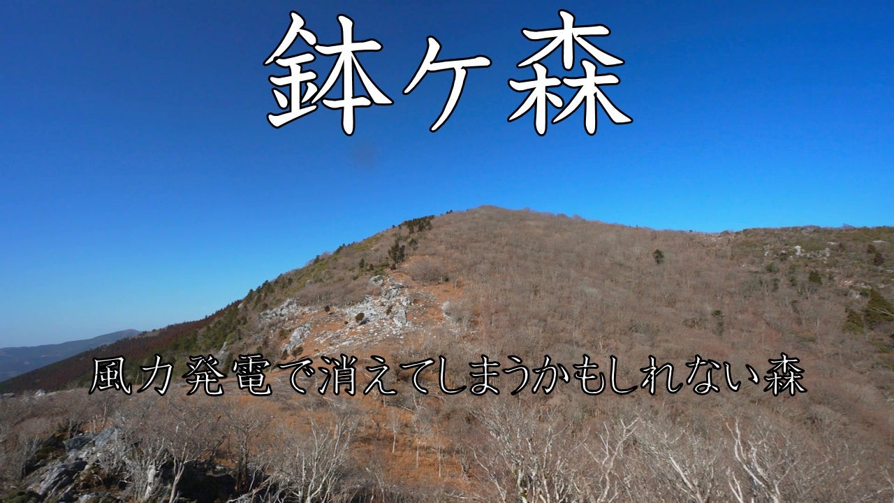 【登山】鉢ヶ森　風力発電で消えてしまうかもしれない森　2026年2月23日（高知県）【登山　高知】【登山　四国】