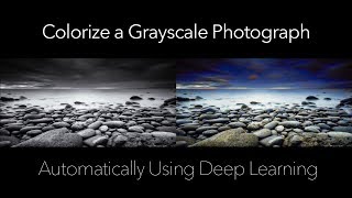 Automatic Grayscale Image Colorization