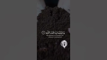 ناصر القطامي | ايات من سورة طه / حالات واتس قرآن ❤🤲
