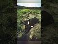 Lake Nyos Disaster #ziawarner #facts #lakenyos