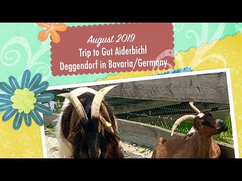 Trip to Gut Aiderbichl Deggendorf in Germany August 2019