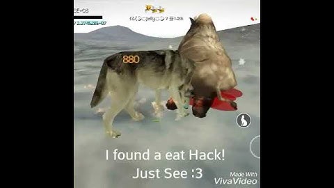 [WOLF ONLINE] Animal Eat Exp Hack