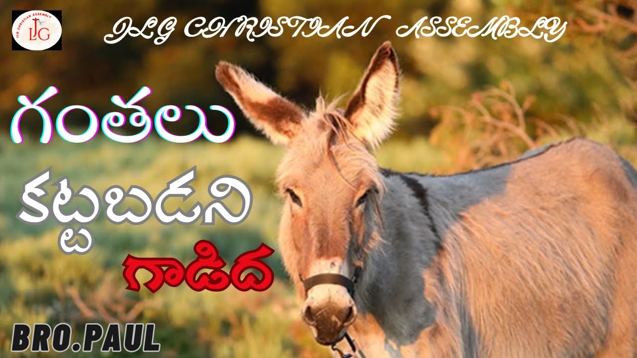 గంతలు కట్టబడని గాడిద(ప్రాముఖ్యమైన సందేశం) తప్పక వినండి.