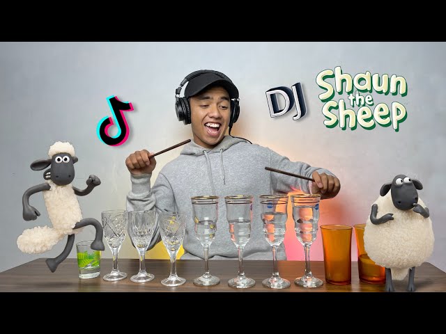 Dj Shaun The Sheep Bergelas class=