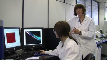 Tissue Engineering -- Skin & Bones