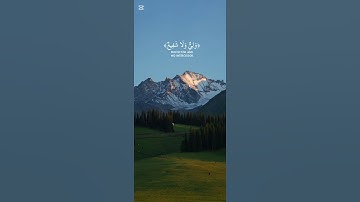 تلاوة هادئة #quotes #quran #راحة_نفسية #قرآن #قران_كريم #تلاوة_خاشعة #تلاوة_هادئة #اذكار #رقية_شرعية