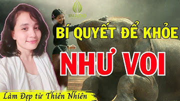 Bí Quyết Để Khỏe Như Voi - Nguyễn Ngọc Anh iNaDo
