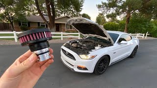 Building a Mustang GT: Why & When You NEED A Valve Cover Breather