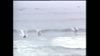 The craziest surf boat race finish in history!