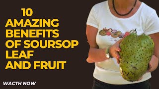 10 Amazing Benefits of Soursop Leaf and Fruit| healthy food| health tips| health benefits