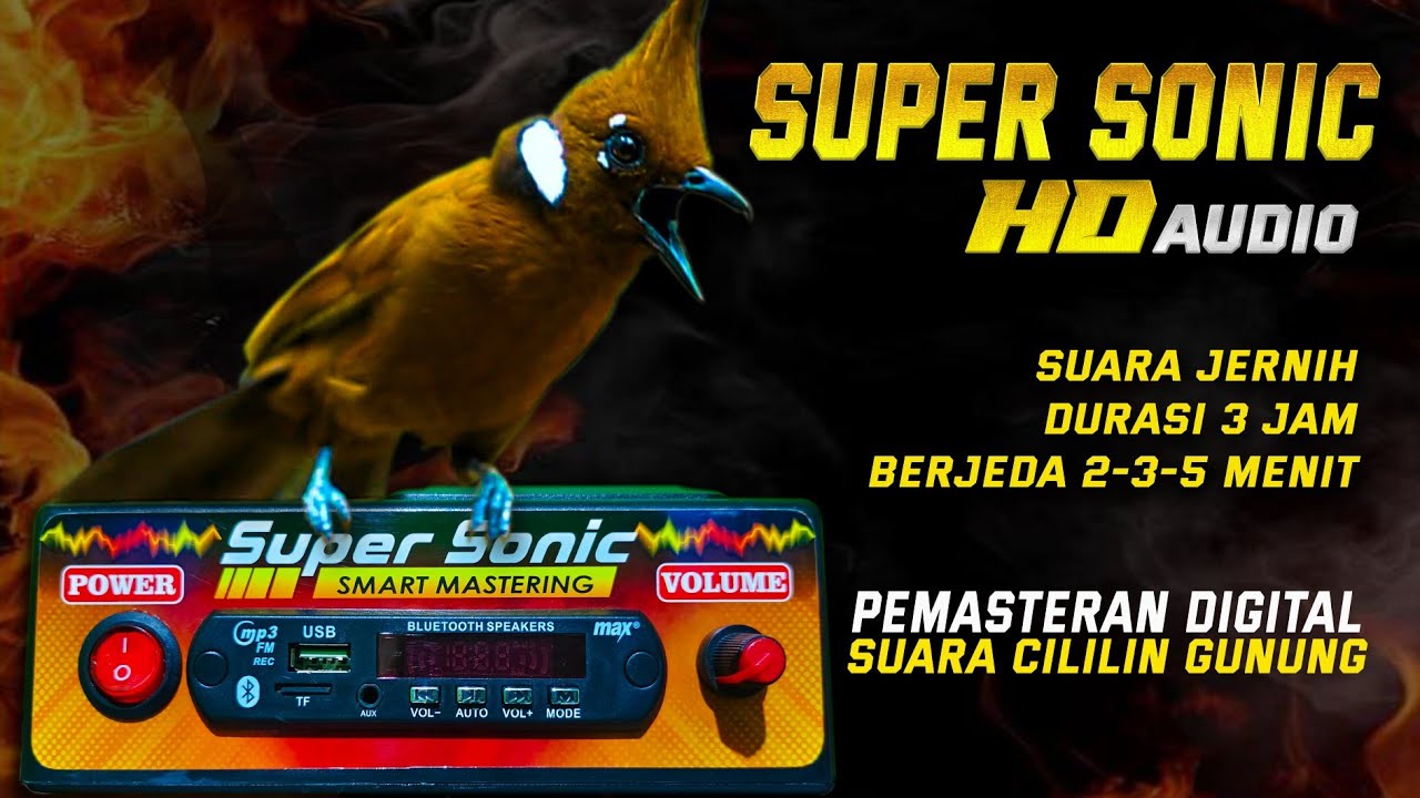 CILILIN JERNIH‼️super sonic mastering digital suara panjang dan nembus