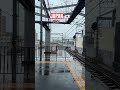 Beautiful train ride in Japan 🇯🇵 #travel #japan #train #shorts 😍❤️