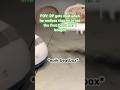 Apology Beatbox #airplane #aviation #trending Subscribe!