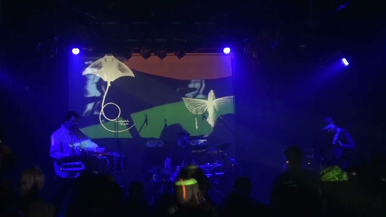 Gala Drop Live at Forma Free Music Impulse Festival - 10-11-2023 Mostovna Nova Gorica SLO