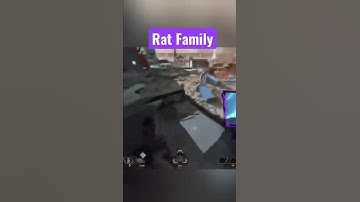 POV : You find a family of rats 😅😶‍🌫️ #apexlegends #shorts #apex