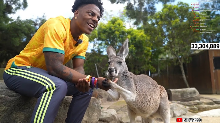 irl stream in Australia 🇦🇺