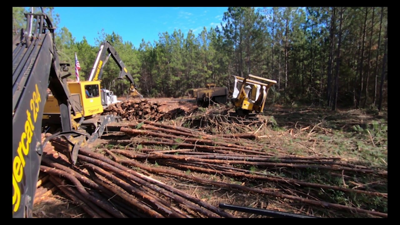 Tigercat 234 Loader Processing Pine Pulpwood YouTube