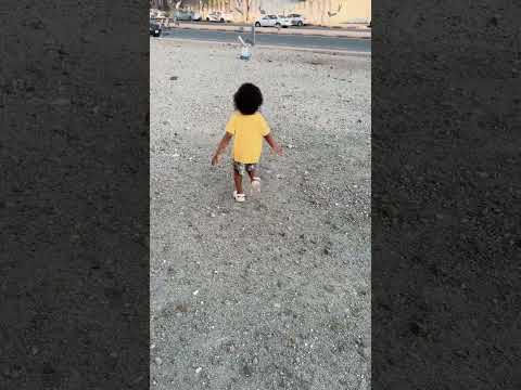 في أحد ينادي الحمام وتجي غير أبو القدور ام حويوه عائلة موكاممادو ابوقدور