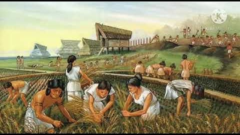 Std : 5. Sub : E.V.S II. Ls.no.8. Beginning of Settled life.