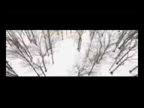 6IX9INE Ft Chris Brown ZZ OFFICIAL MUSIC VIDEO