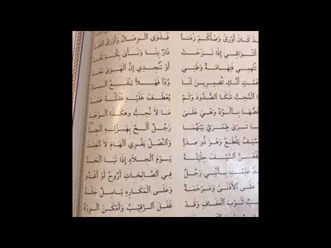 قصيدة 13 الد ر ة اليتيمة دوقلة المنبجي