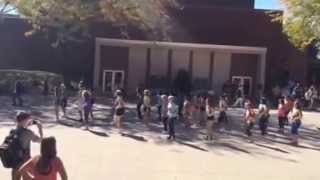 BSUDM Flashmob 2014
