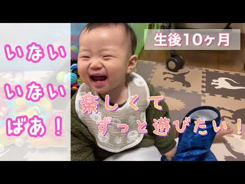 【生後10ヶ月】いないいないばあ！できることが嬉しくてハマっちゃった😊成長記録
