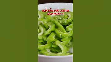 Mướp đắng- chiến binh xanh của người tiểu đường #shortsvideo #dongyhiendai #songkhoe