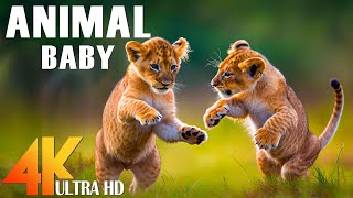 Детские животные 4K - Удивительный мир молодых животных | Живописный фильм