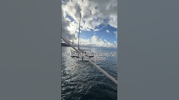 Nautical Nuisance in Cat Harbor #sailinglife | SV Ramble On