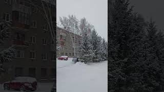 Новосибирск. Снег идет. #shorts #новосибирск #снег