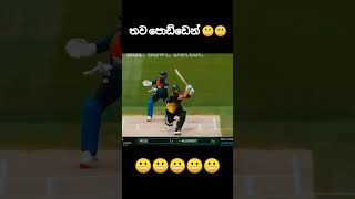 තව පොඩ්ඩෙන් හවුලේ බානෝ😬😬😬#cricket #shots #youtubeshorts #viralshorts #slcricket #asiacup2025 #bbl
