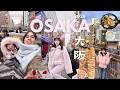 🎀 🇯🇵 OSAKA parte 1 ✈️ [vlog] | dotonbori, castillo, frutillas, animales, comida, compras - eng subs