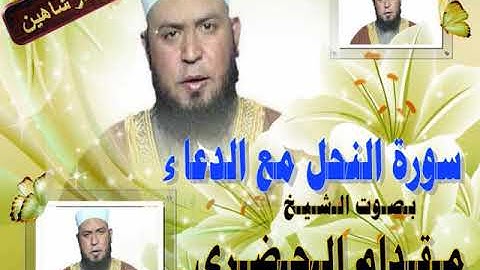 الشيخ مقدام الحضرى - سورة النحل مع الدعاء