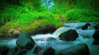 Soothing mountain stream Relaxation Sound river waterfall Sound flowing water in tropical forest