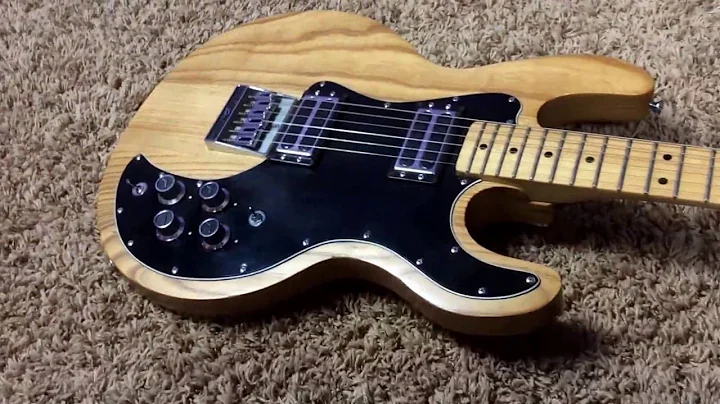 Trogly's Guitars: 1979 Peavy T60