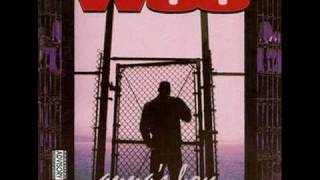 【最終値下げ】g-rap YOUNG WOO / ANNA'S BOY Young Woo - Anna's Boy | チャスケのG-RAP紹介ブログ