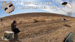 360 Video - Sig P365 380 + Speer Gold Dot 90gr vs Ballistics Gel at 10 Yards