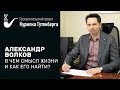 В чем смысл жизни и как его найти?  – Александр Волков